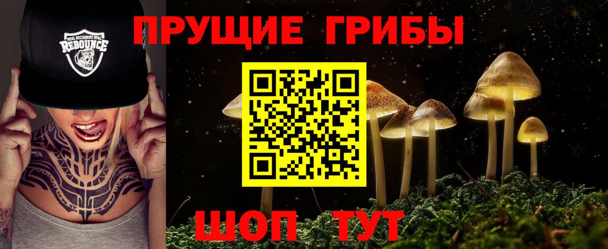 Галлюциногенные грибы GOLDEN TEACHER  Псилоцибиновые грибы Psilocybe  Каменск-Уральский  Вход с VPN 