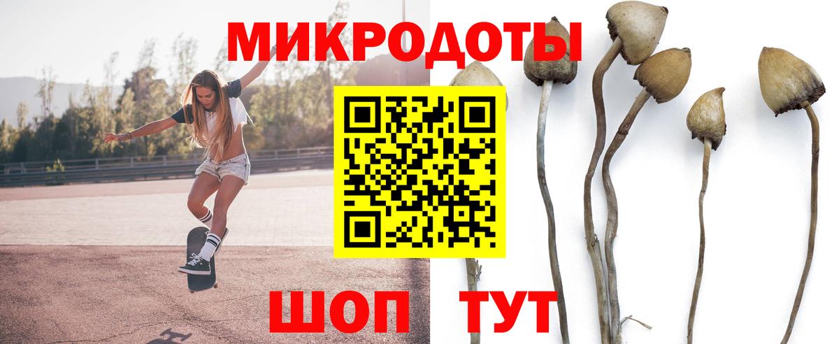 Псилоцибиновые грибы ЛСД Каменск-Уральский